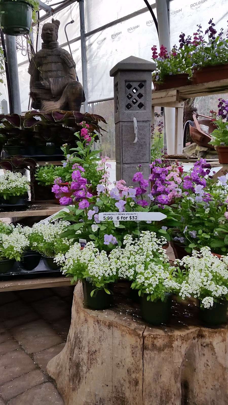 Rockingham Acres Garden Center | 161 Rockingham Rd #4154, Derry, NH 03038, USA | Phone: (603) 434-2817