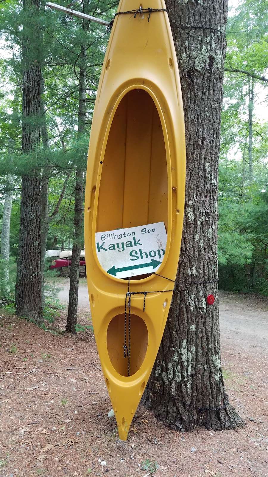 Billington Sea Kayak | 41 Branch Point Rd, Plymouth, MA 02360, USA | Phone: (508) 746-5644