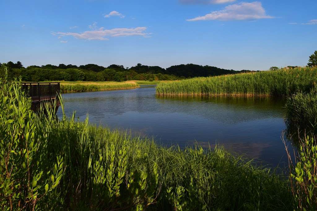 Alley Pond Environmental Center | 22806 Northern Blvd, Little Neck, NY 11362, USA | Phone: (718) 229-4000