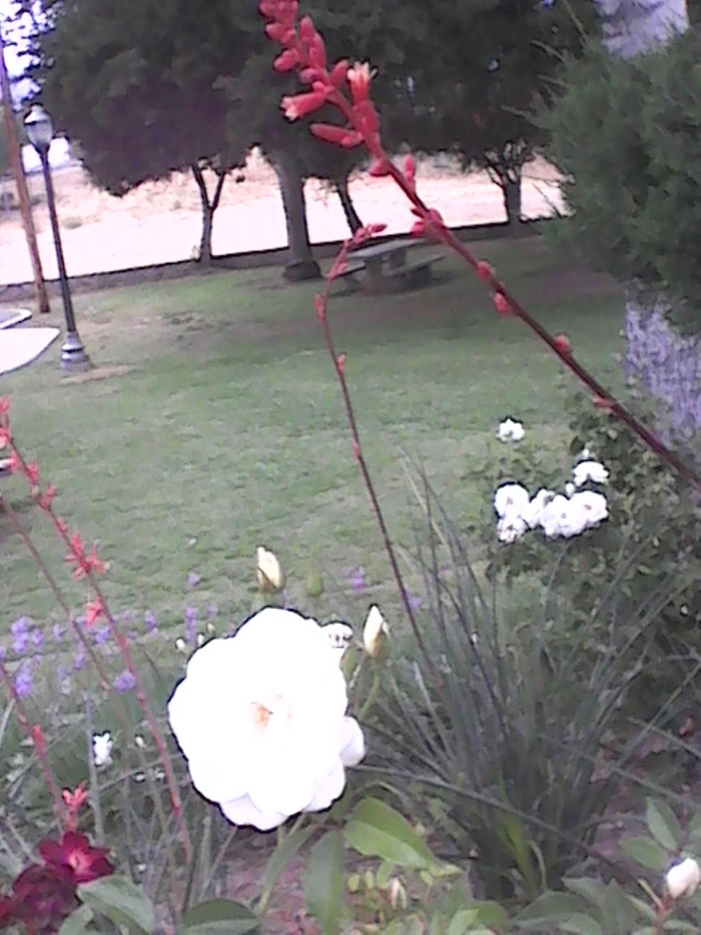 Main Street Park | 125 Library St, Lake Elsinore, CA 92530, USA | Phone: (951) 245-0442