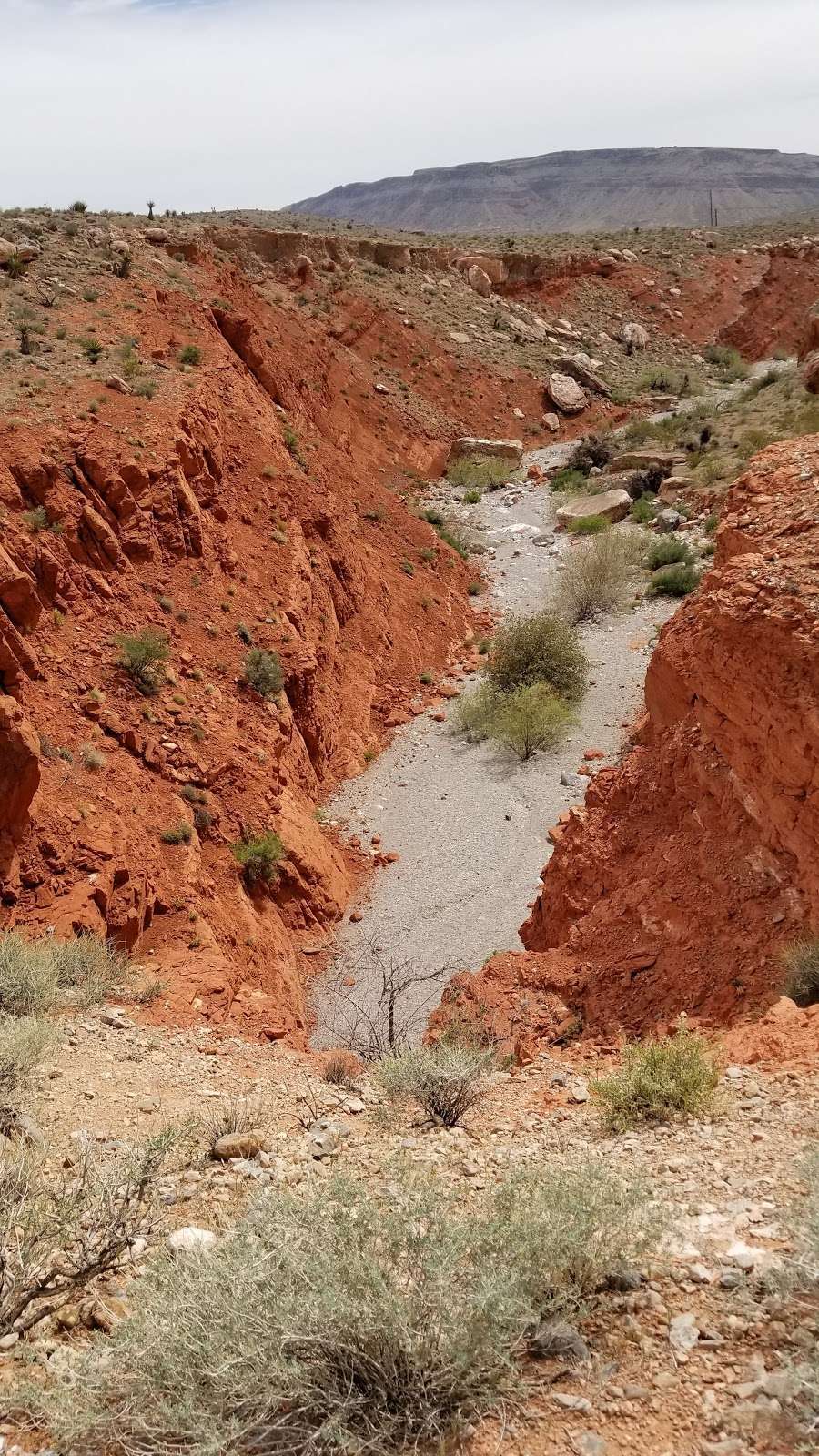 Red Drop Basin | Las Vegas, NV 89161, USA