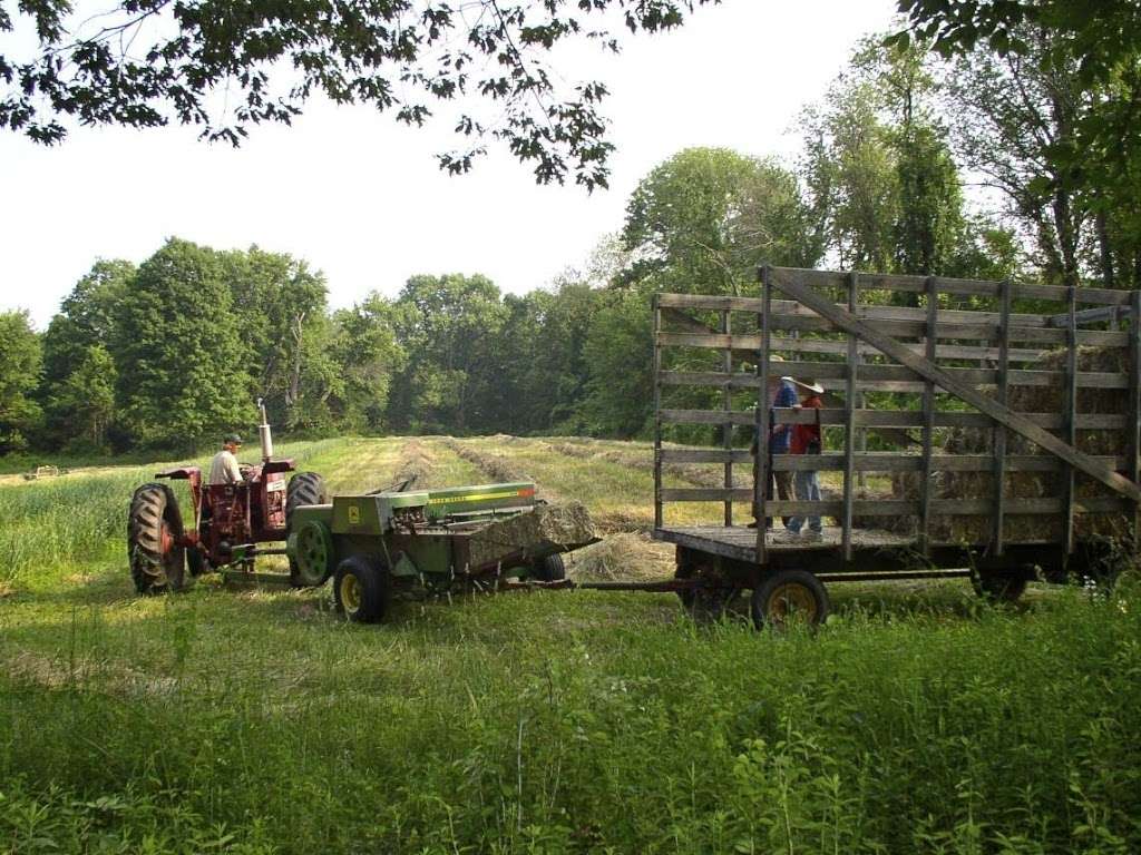 Warrups Farm | 11 John Read Rd, Redding, CT 06896, USA | Phone: (203) 938-9403
