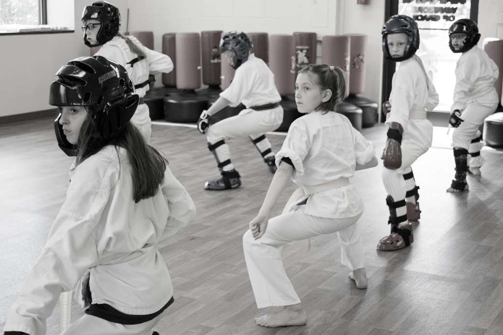 Warriors of Grace Karate | 512 Shaw Ct #102, Severn, MD 21144, USA | Phone: (410) 729-5111