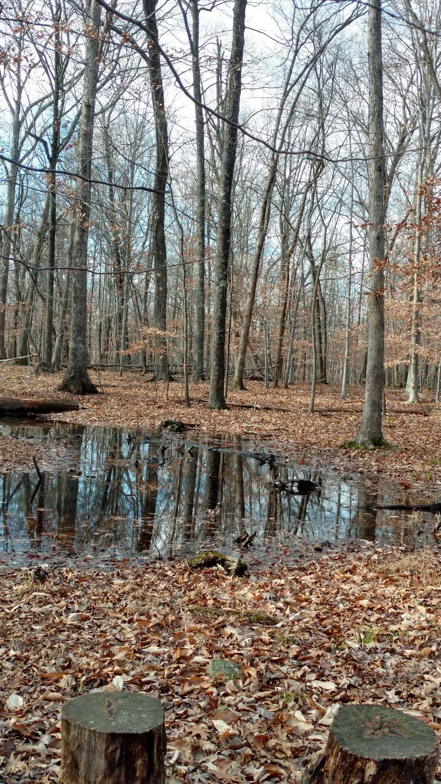 Morven Park Coach House | 17169-17321 Southern Planter Ln, Leesburg, VA 20176, USA | Phone: (703) 777-2414