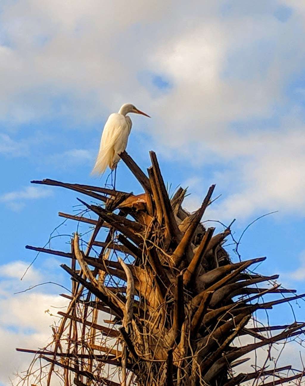 Lake Woodruff National Wildlife Refuge | De Leon Springs, FL 32130 | Phone: (386) 985-4673