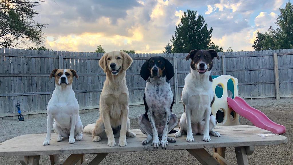 Happy Pet Place | 4817, 841 E Nerge Rd, Roselle, IL 60172, USA | Phone: (847) 278-1972