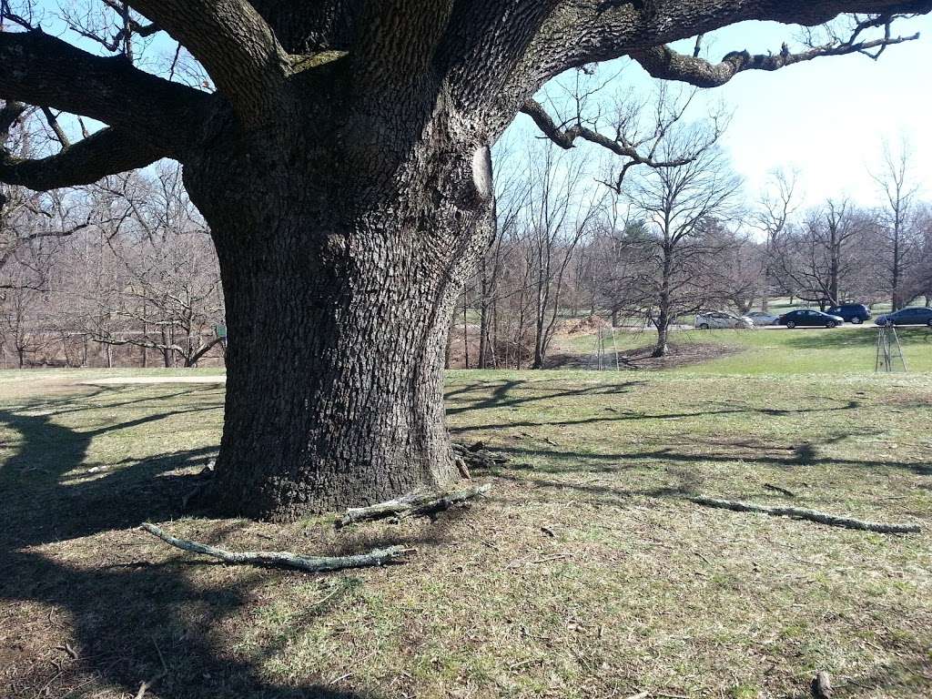 Druid Hill Park Disc Golf Course | Crows Nest Rd, Baltimore, MD 21217