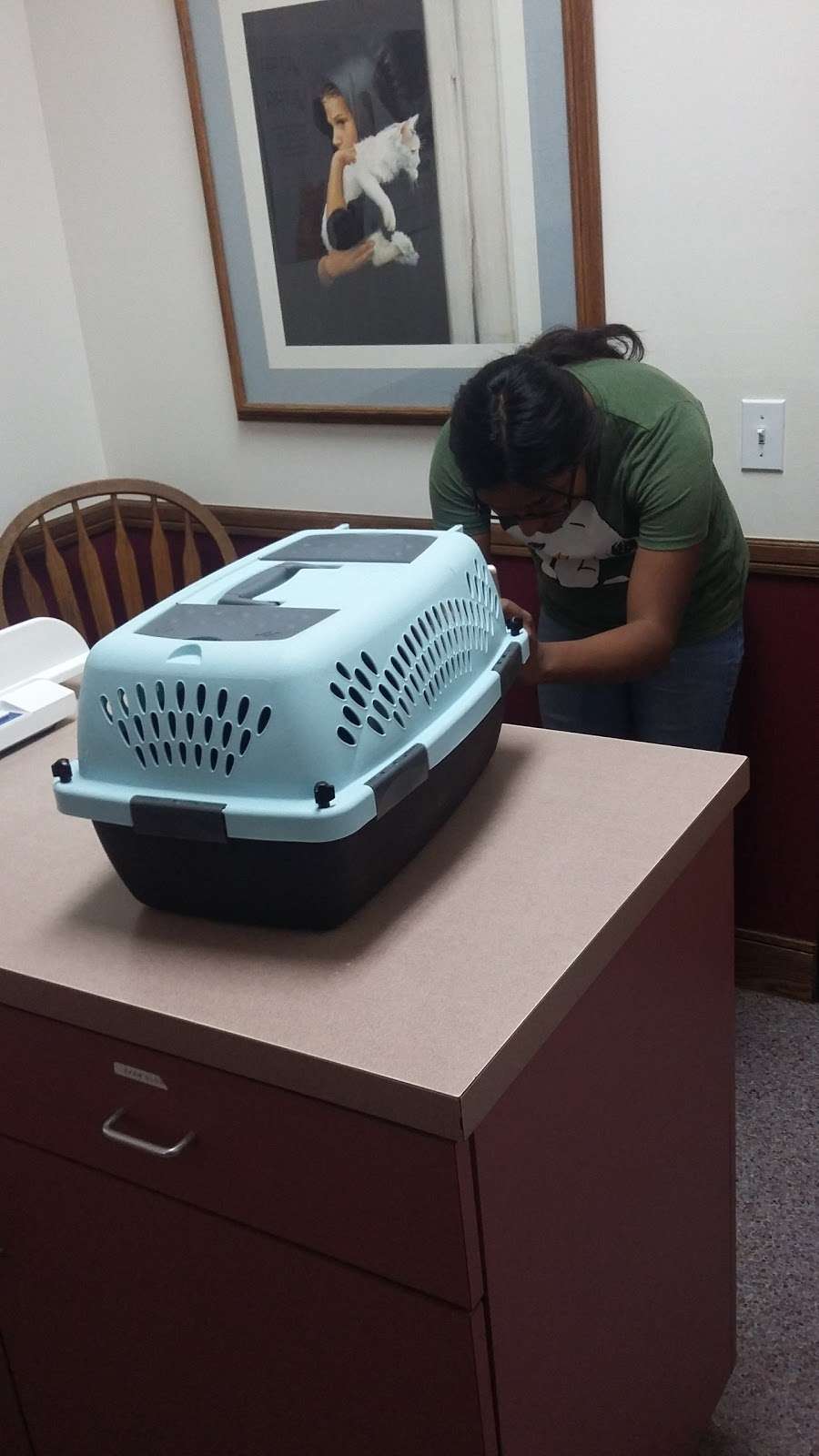 Valley Animal Hospital | 993 W Valley Blvd #120, Bloomington, CA 92316, USA | Phone: (909) 877-2384