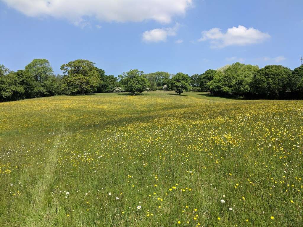 The View @ Heasmans | Hartfield Rd, Forest Row RH18 5JZ, UK | Phone: 07729 423095