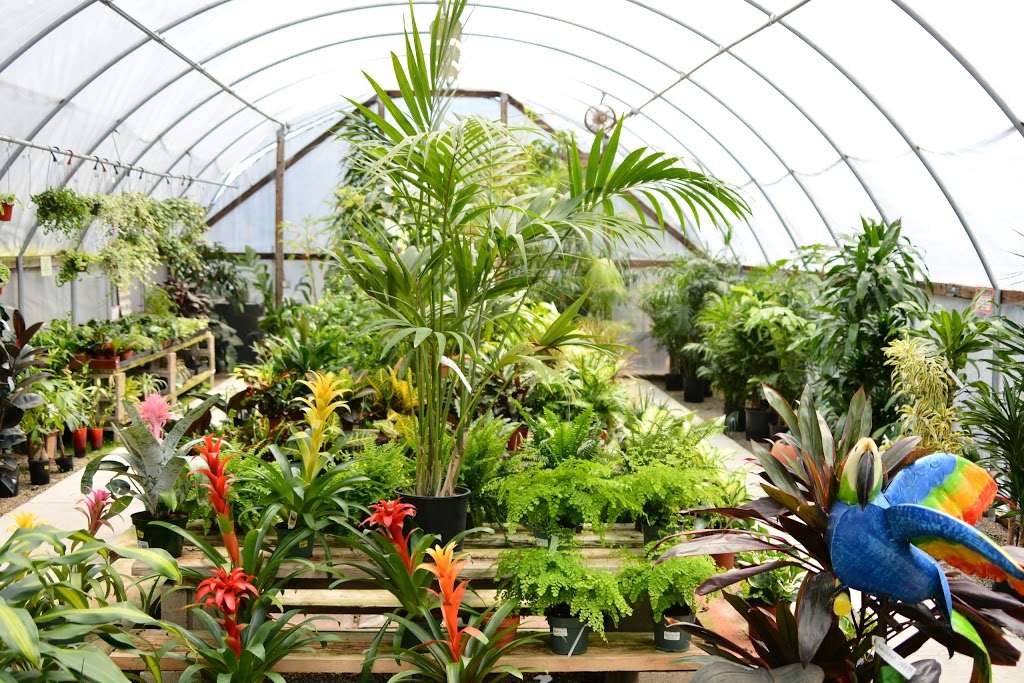 Green Thumb Nursery - San Marcos | 1019 W San Marcos Blvd, San Marcos, CA 92078, USA | Phone: (760) 744-3822