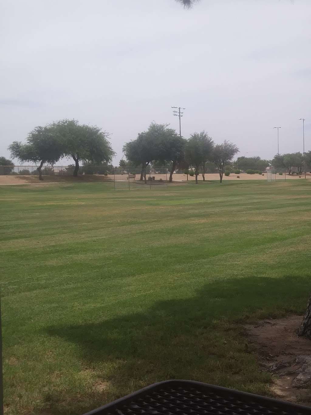 Dobson Park | 1625 W Ryan Rd, Chandler, AZ 85286, USA | Phone: (480) 782-2727