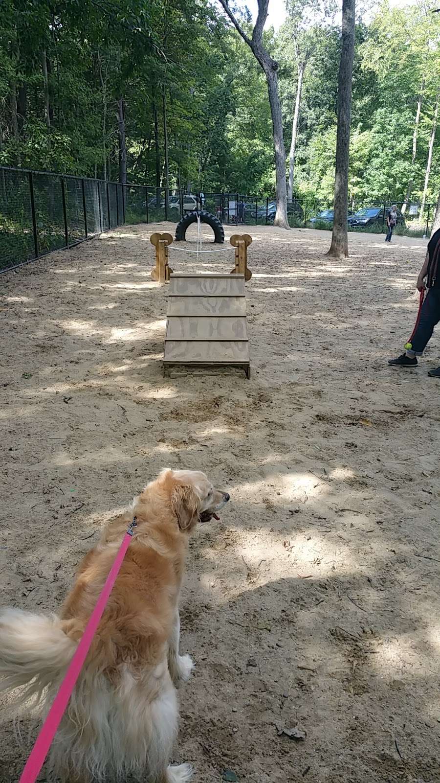 Andover Dog Park | 288 High Plain Rd, Andover, MA 01810, USA | Phone: (763) 757-3920