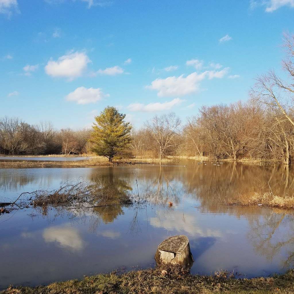 Killbuck Wetlands | E Grand Ave, Anderson, IN 46012, USA