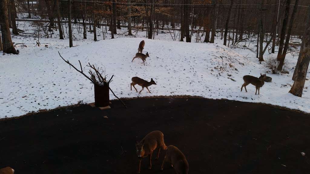 JMF Electrical Contractor | 115 Price Dr, Mountainhome, PA 18342, USA | Phone: (570) 595-2972