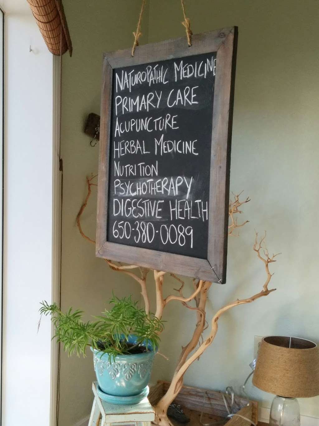 Shane David, MFT - Counseling and Nature-Based Therapy | 450 Dondee St #5, Pacifica, CA 94044 | Phone: (510) 473-8806