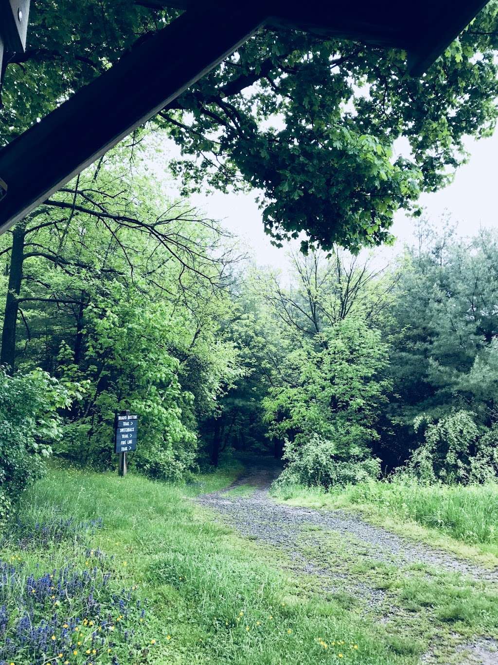 Switchback Railroad Trail | Switchback Railroad Trail, Jim Thorpe, PA 18229, USA