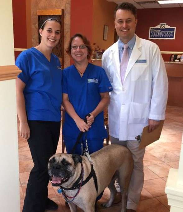 Crown Veterinary Specialists | 23 Blossom Hill Rd, Lebanon, NJ 08833 | Phone: (908) 236-4120