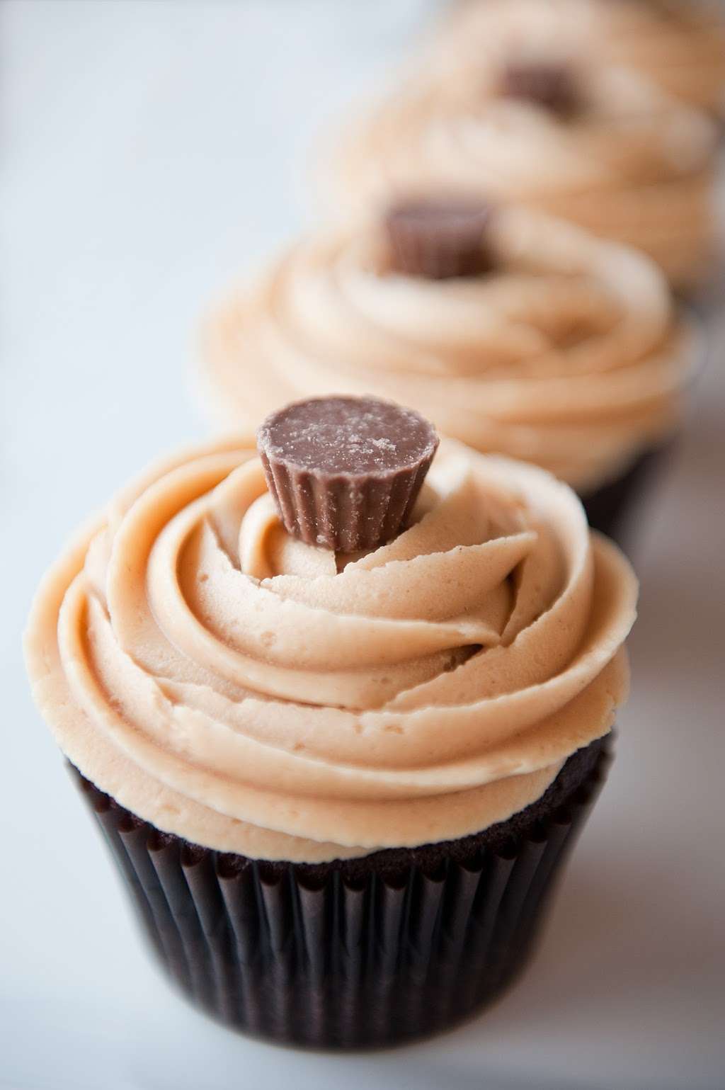 Sublime Cupcakes | 141 Market St, Collegeville, PA 19426, USA | Phone: (484) 973-6439