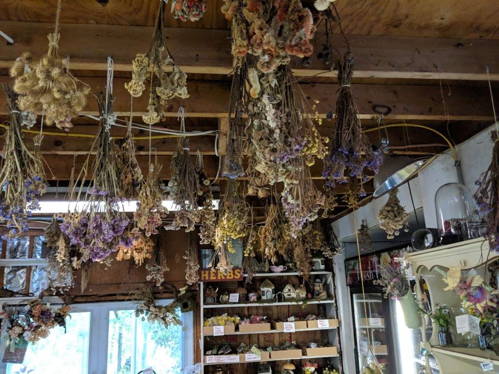 Willow Oak Flower & Herb Farm | 8109 Telegraph Rd, Severn, MD 21144 | Phone: (410) 551-2237