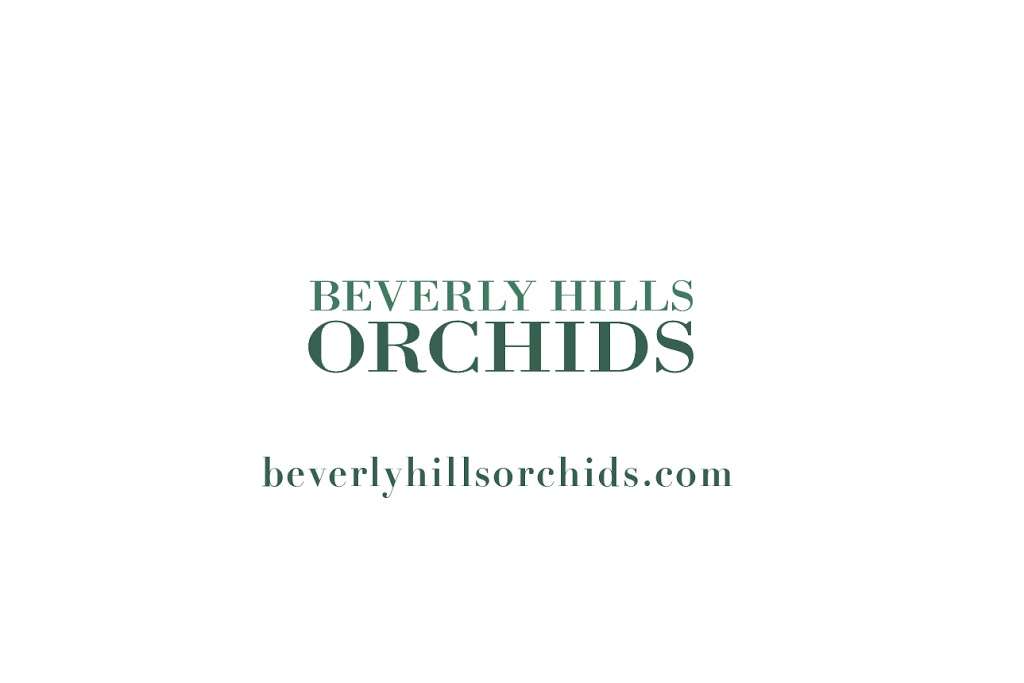 Beverly Hills Orchids | 368 S Maple Dr, Beverly Hills, CA 90212, USA | Phone: (310) 503-1200