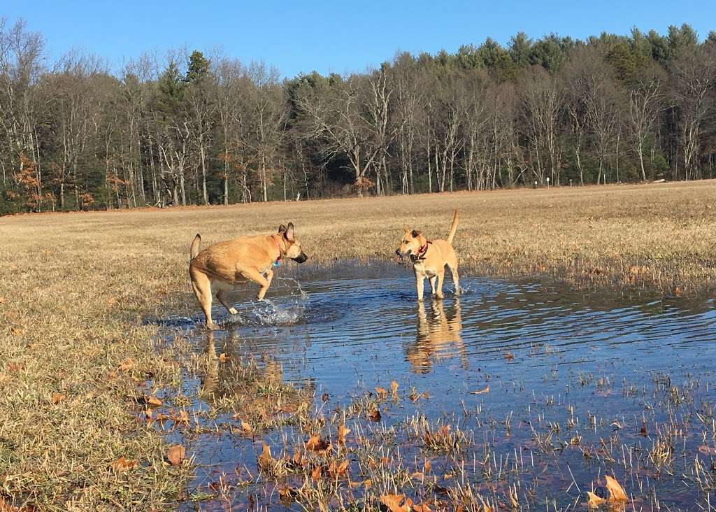 Foss Farm | Carlisle, MA 01741, USA