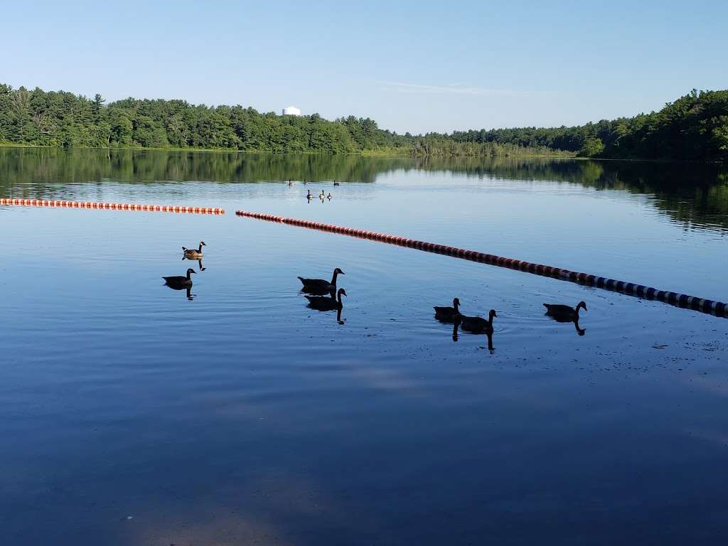 Watson Pond State Park | 1644 Bay St, Taunton, MA 02780, USA | Phone: (508) 884-8280