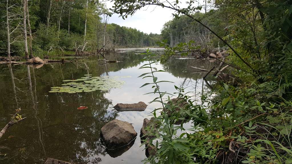 Martin Burns Wildlife Management Area Field Office | Orchard St, Newbury, MA 01922, USA | Phone: (978) 465-8012