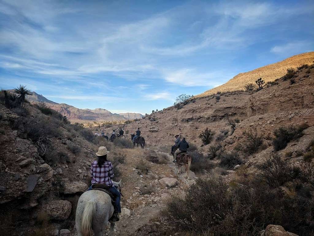 Cowboy Trail Rides | 4053 Fossil Ridge Rd, Las Vegas, NV 89161, USA | Phone: (702) 387-2457