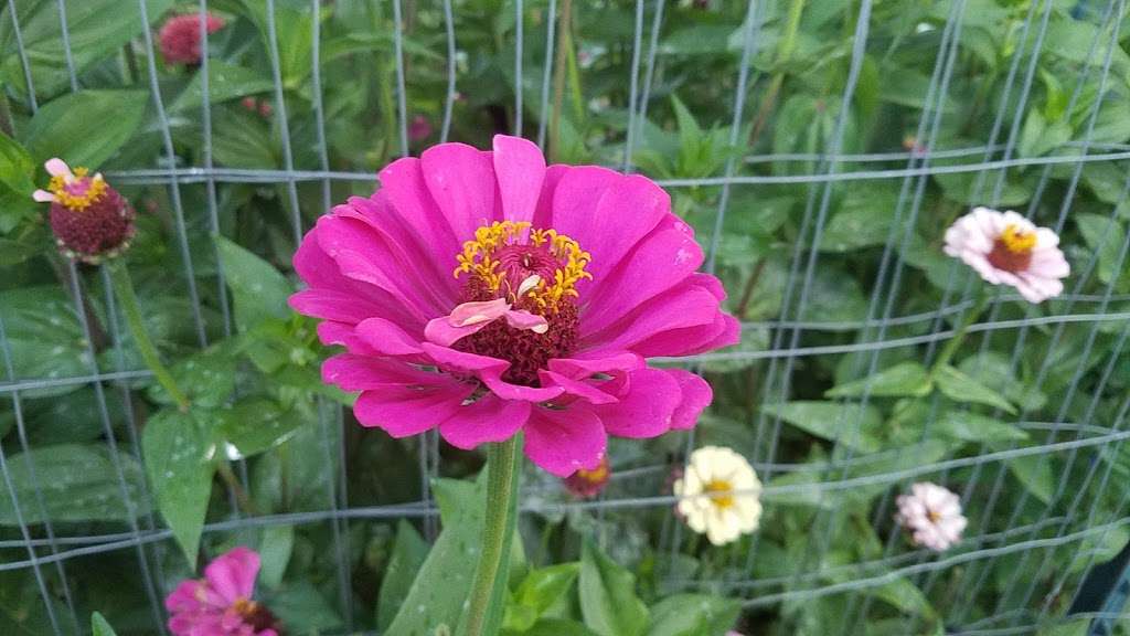 Montville Community Gardens | Montville, NJ 07045, USA