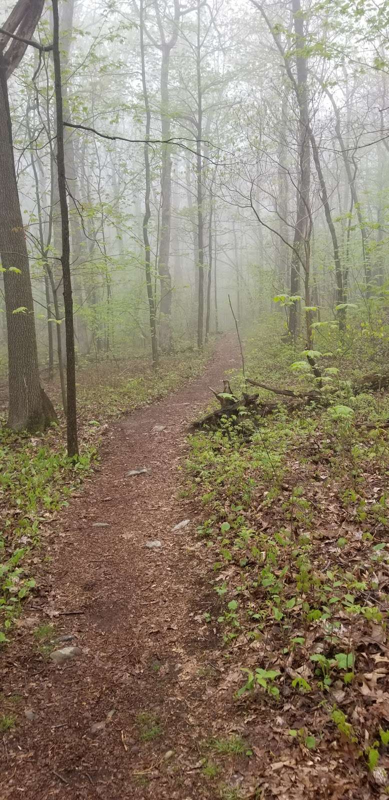 Appalachian Trail - Wolf Rocks | Valley View Dr, Bangor, PA 18013