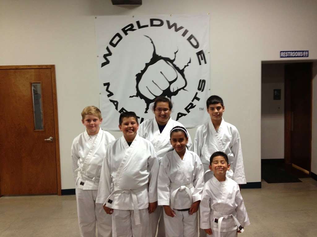 Worldwide Martial Arts | 1201 FM3083, Conroe, TX 77303 | Phone: (936) 447-0088