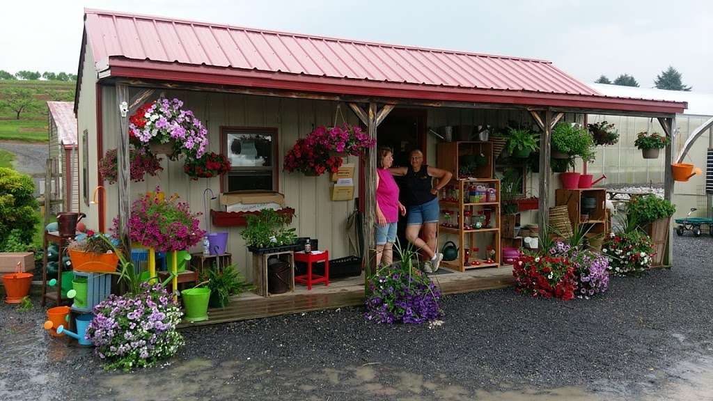 Taylors Greenhouse | 265 Fairgrounds Rd, Biglerville, PA 17307, USA | Phone: (717) 677-7471