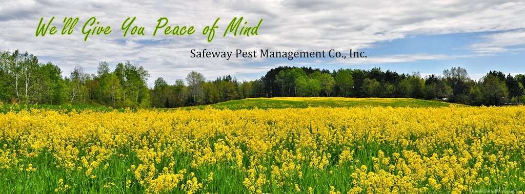 Safeway Pest Management | S83 W18622 Saturn Dr, Muskego, WI 53150, USA | Phone: (262) 679-4422