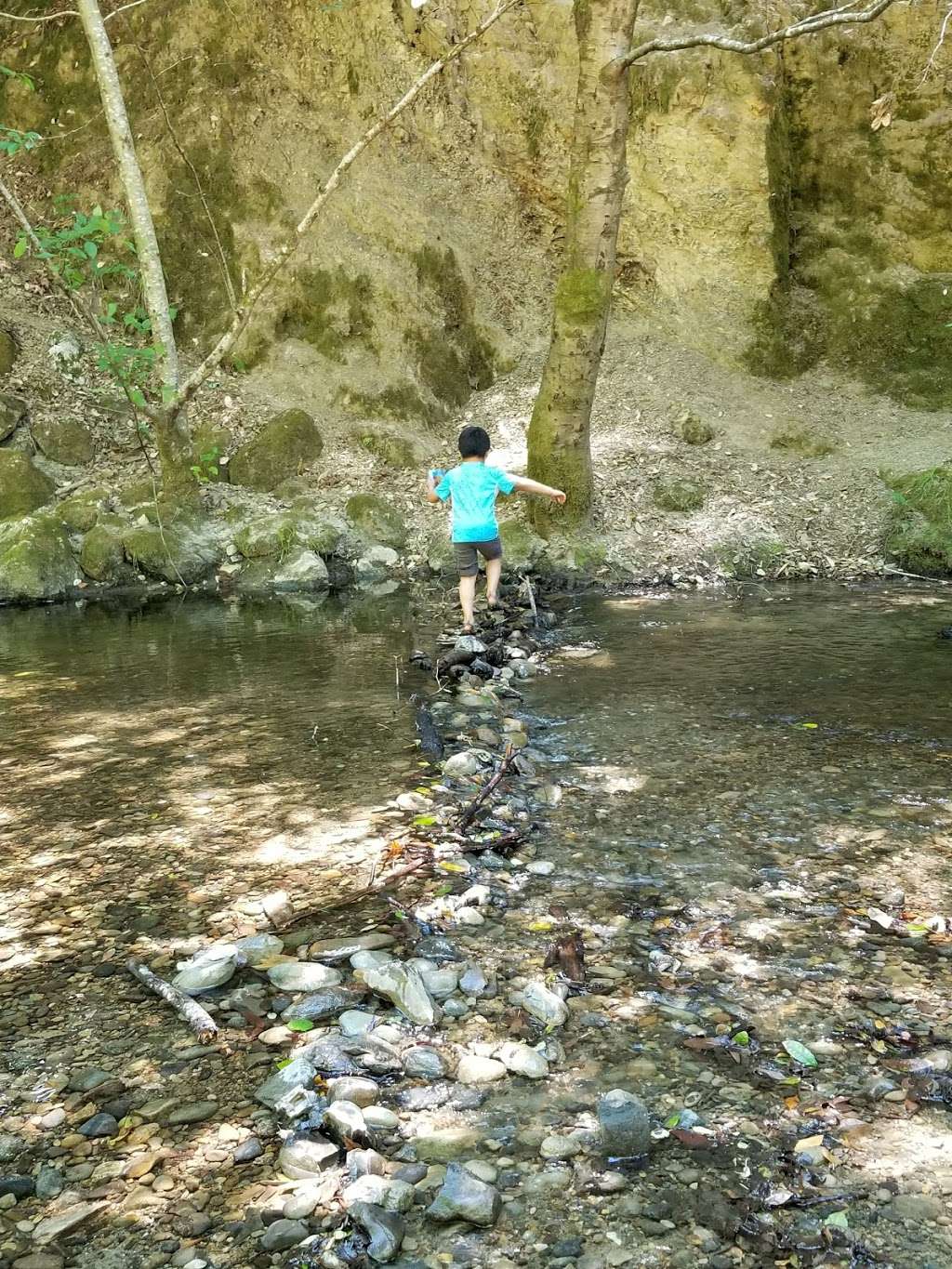 Memorial Park, Wurr Flat #2 | 9500 Pescadero Creek Rd, Loma Mar, CA 94021, USA | Phone: (650) 879-0238 Memorial Park, Wurr Flat #2 | 9500 Pescadero Creek Rd, Loma Mar, CA 94021, USA | Phone: (650) 879-0238