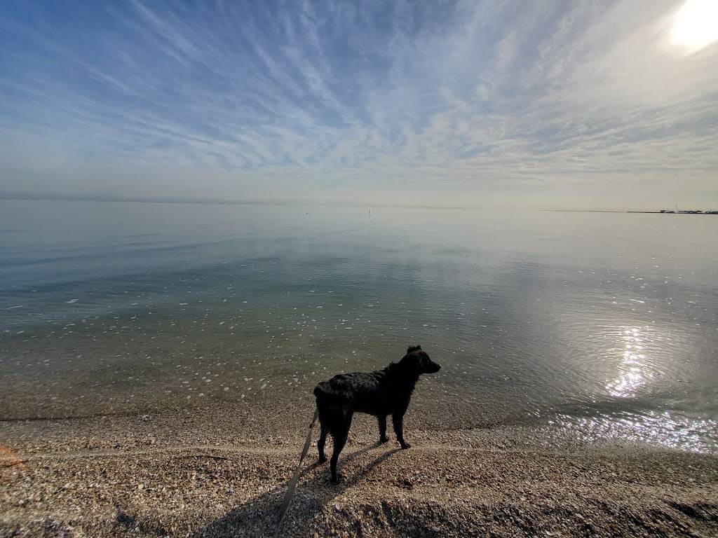 Shorebird Park | Foster City, CA 94404, USA | Phone: (650) 286-3380