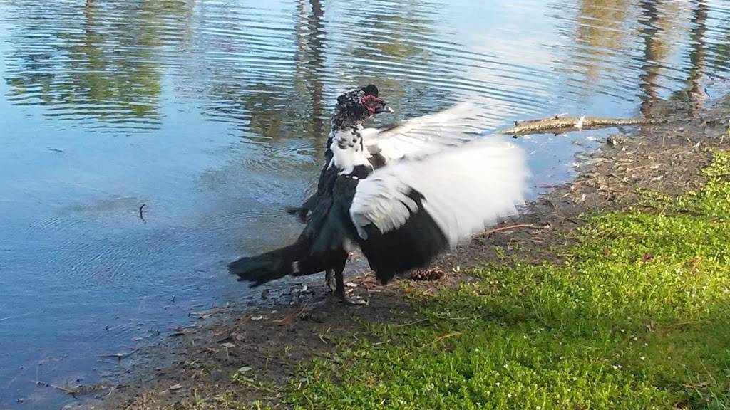 orange park North | 5291 Collins Rd, Jacksonville, FL 32244, USA | Phone: (904) 264-7131