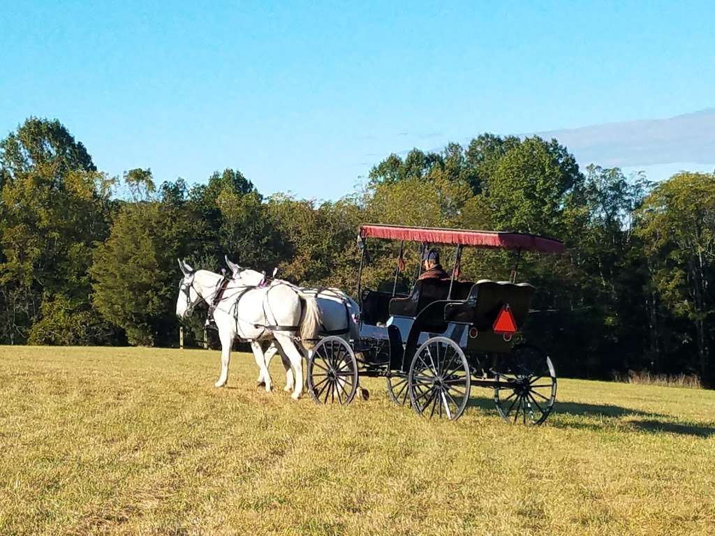 Carroll County Equestrian Center | 2512 Grimville Rd, Mt Airy, MD 21771, USA