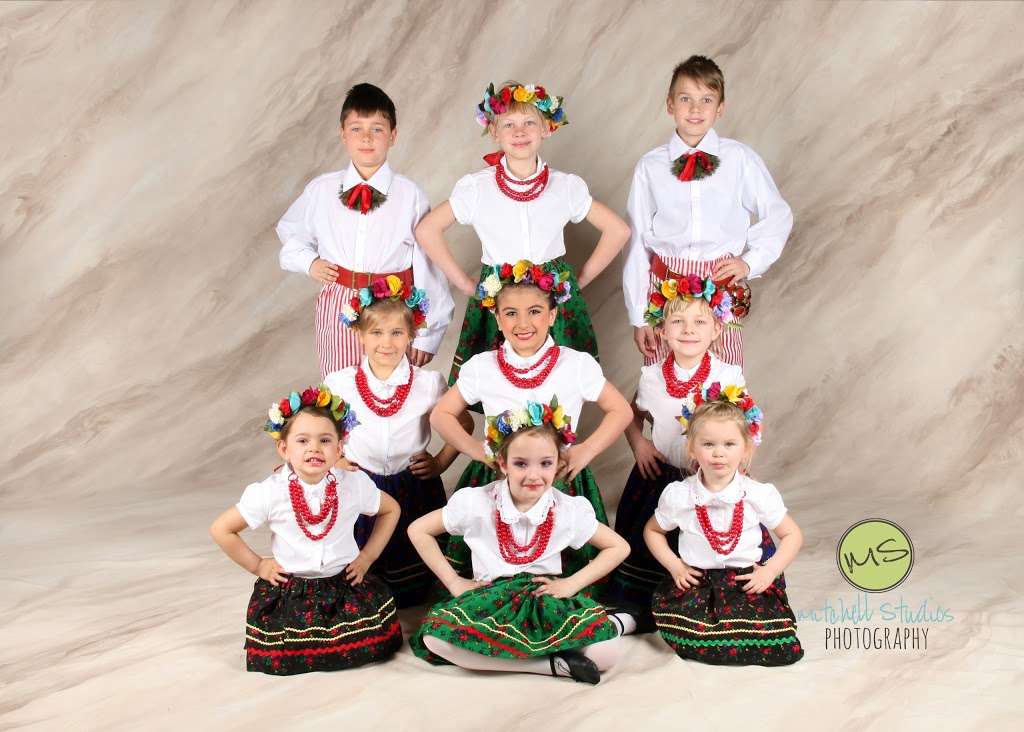 School of Dance & Movement | 1000 W Wood St, Bensenville, IL 60106, Bensenville, IL 60106, USA | Phone: (630) 766-7015