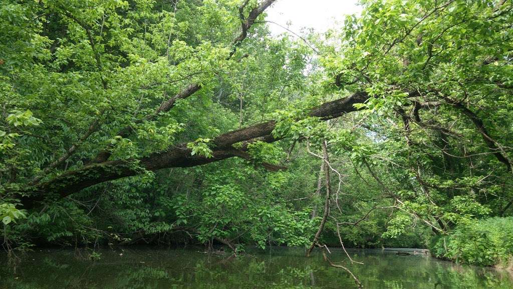 Brush Creek State Fish and Wildlife Area | Butlerville, IN 47223, USA