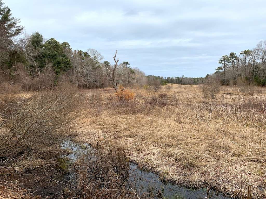 Eel River Preserve | 4 Boot Pond Rd, Plymouth, MA 02360, USA