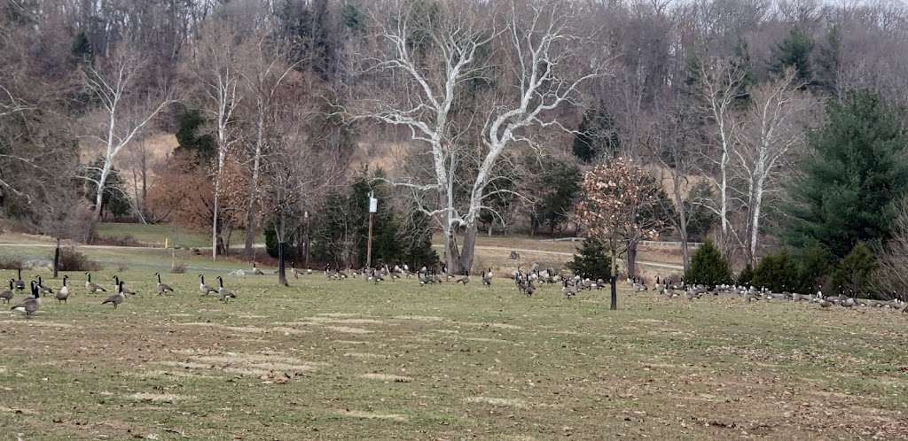 Morrow Pavilion, Green Lane Park | Green Lane, PA 18054, USA