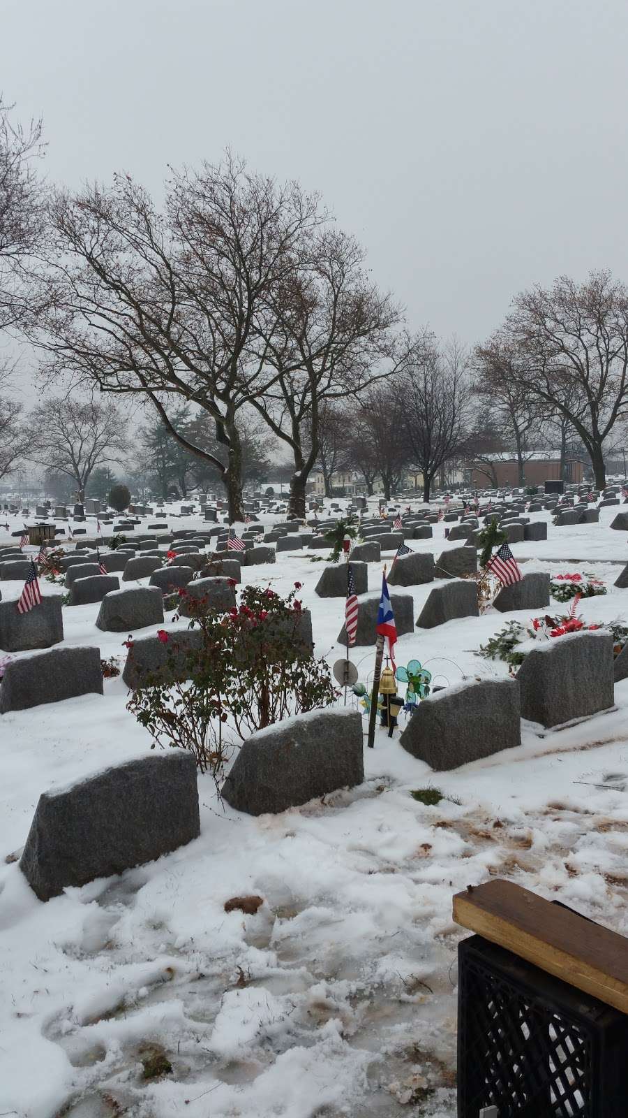 Alpine Cemetery | 703 Amboy Ave, Perth Amboy, NJ 08861, USA | Phone: (732) 442-0055