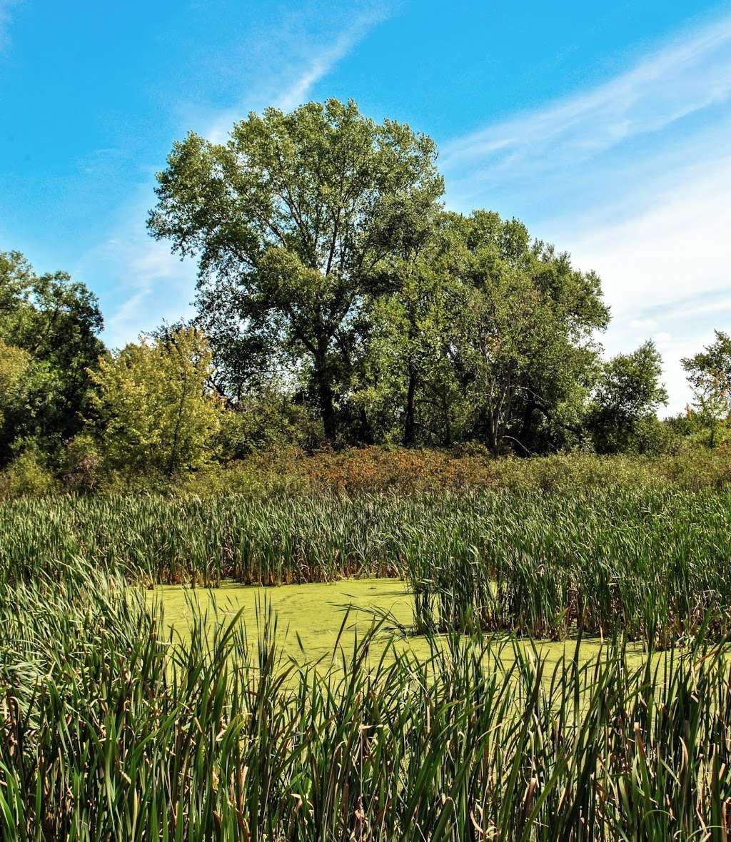 Young Prairie State Natural Area | Whitewater, WI 53190, USA | Phone: (608) 266-0394