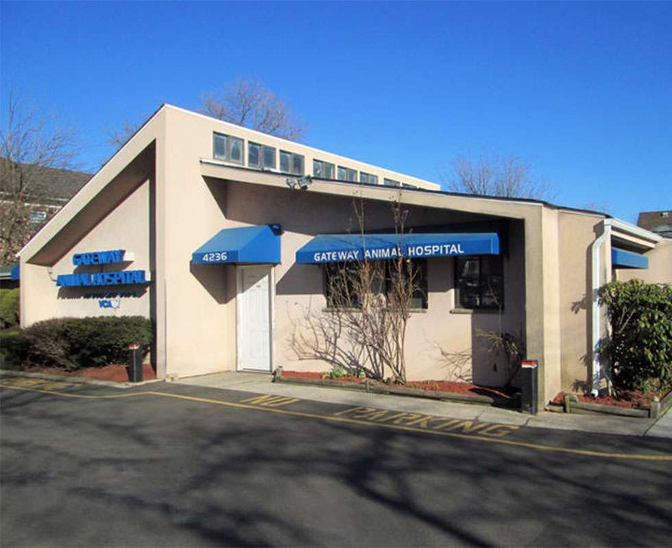 Gateway Animal Hospital | 4236 Hylan Blvd, Staten Island, NY 10312 | Phone: (718) 984-1000