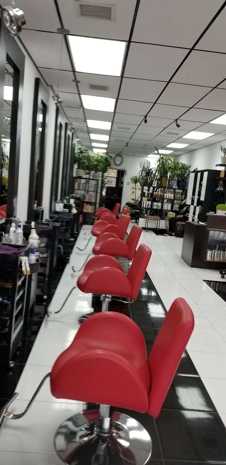 Mods Hair | 213-14 48th Ave, Oakland Gardens, NY 11364, USA | Phone: (718) 279-4247