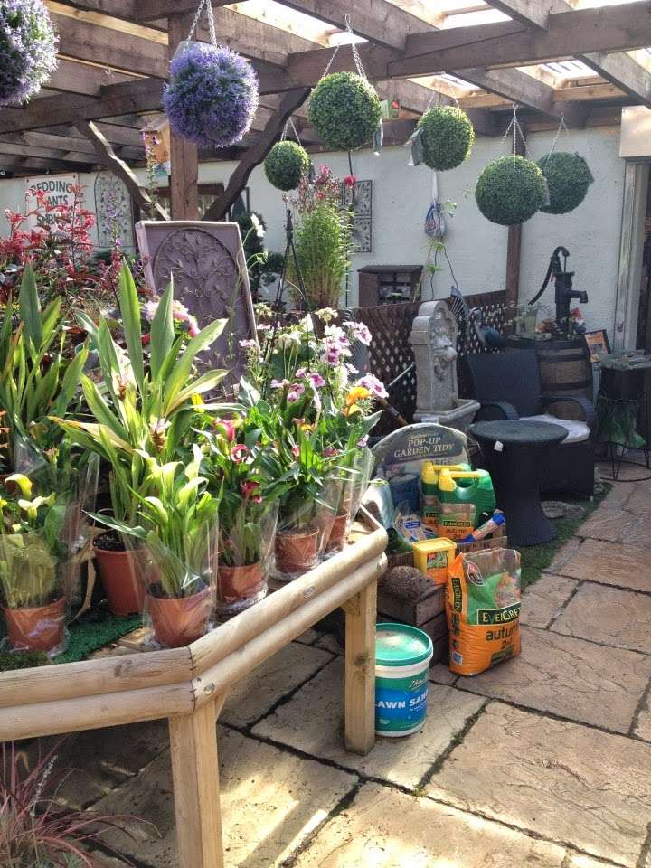 Bexley Garden Centre | 57 N Cray Rd, Bexley, Sidcup DA14 5EU, UK | Phone: 020 8309 1442