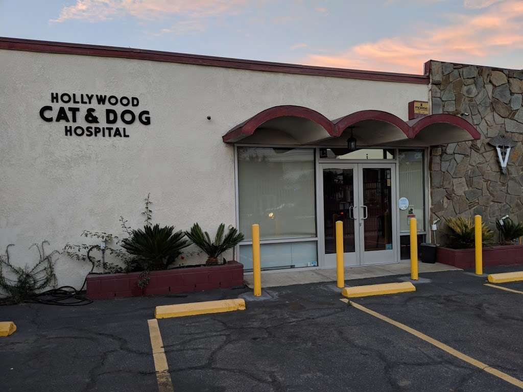 Hollywood Cat and Dog Hospital | 1146 N La Brea Ave, West Hollywood, CA 90038, USA | Phone: (323) 469-3000