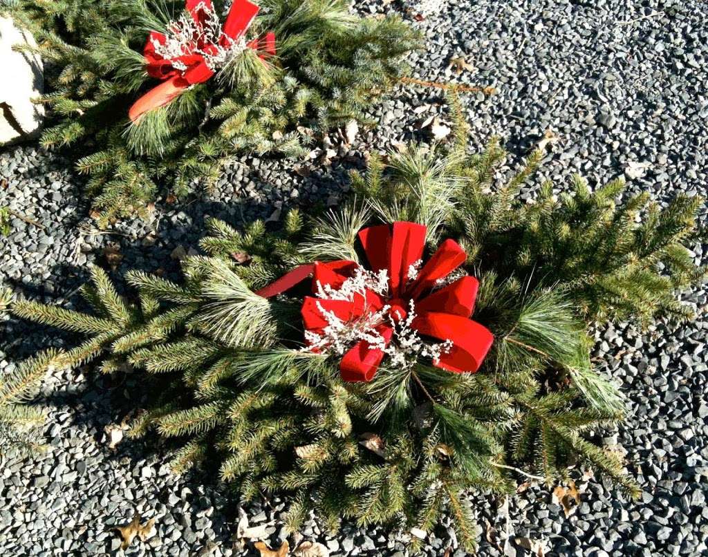 Country Gentleman Christmas Trees & Firewood | 115 Washington Valley Rd, Warren, NJ 07059, USA | Phone: (908) 917-9221