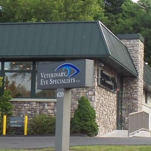 Veterinary Eye Specialists, PLLC | 620 Commerce St, Thornwood, NY 10594, USA | Phone: (914) 674-4141