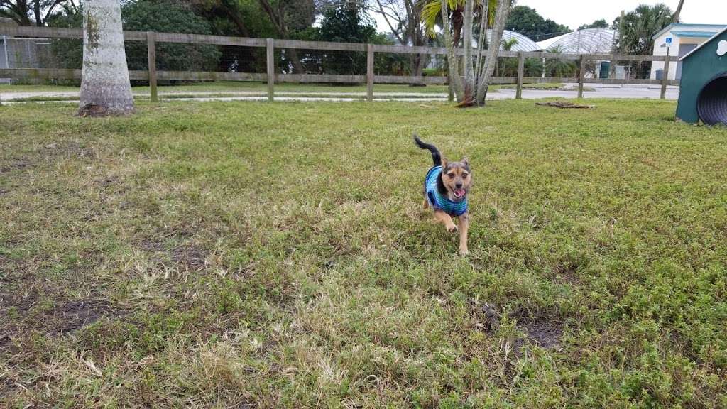 Peaceful Ridge Dog Park | 2950 Frontage Rd, Davie, FL 33330